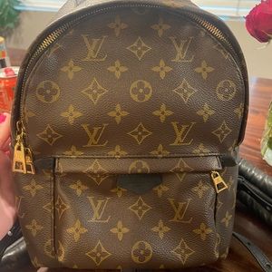 Louis Vuitton Palm Springs PM backpack